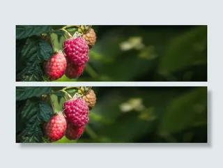 淘宝轮播背景海报banner  通用简约