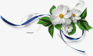 白色唯美鲜花花边边框免抠
