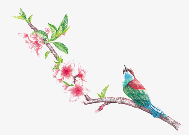 桃花免抠