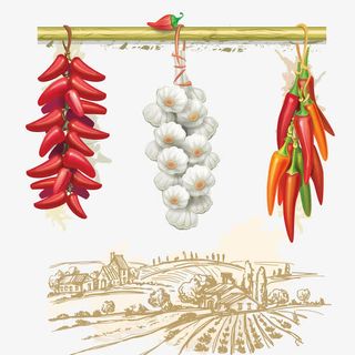 农作物矢量图免抠