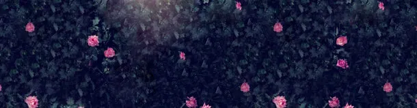 美丽花朵淘宝海报背景
