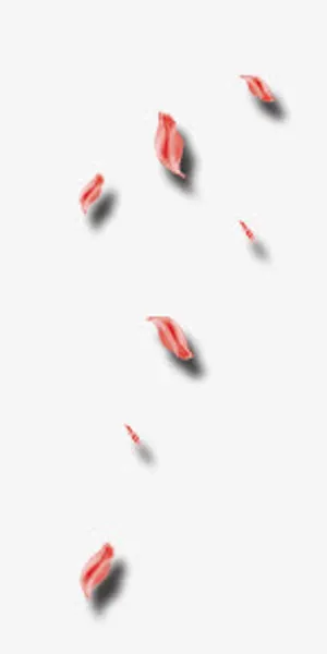 飘落的花瓣免抠