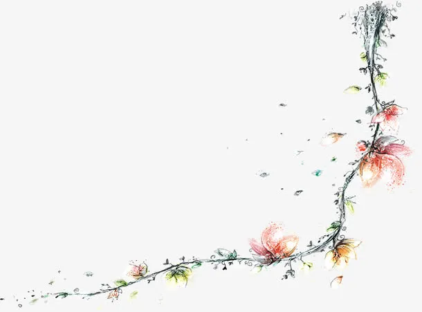 手绘藤蔓花卉夏天免抠