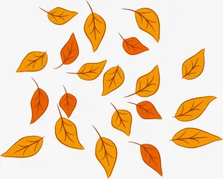 手绘黄色叶子免抠
