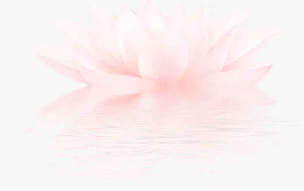带水珠的荷花免抠
