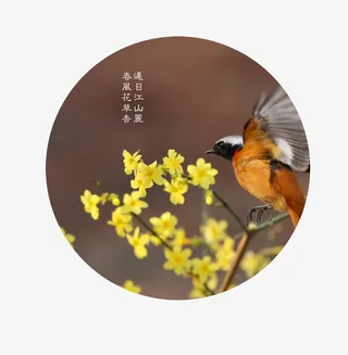 谷雨装饰图案免抠