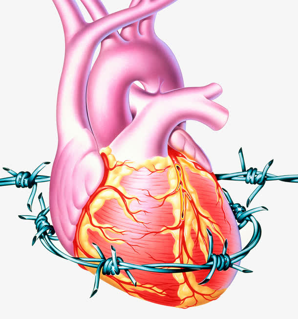 胆固醇冠心病免抠