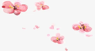 梅花免抠