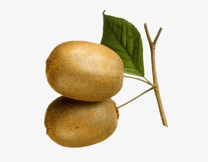 两个猕猴桃免抠