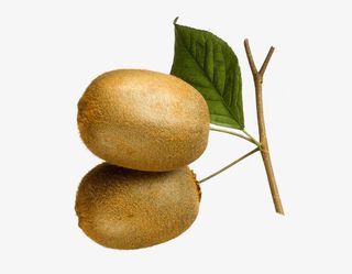 两个猕猴桃免抠