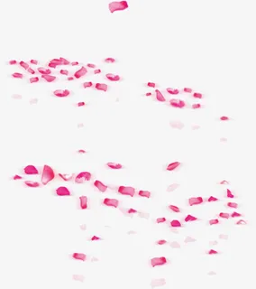 飞舞的花瓣免抠