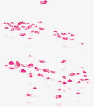 飞舞的花瓣免抠