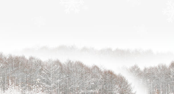 冬季雪地里的树林免抠