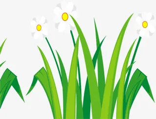 绿色春天风景花朵免抠