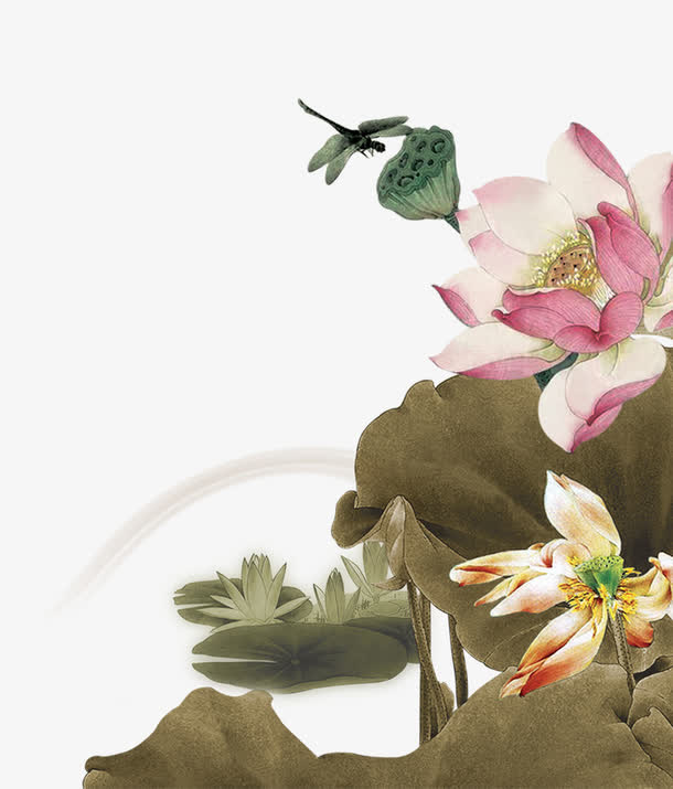 荷花蜻蜓免抠