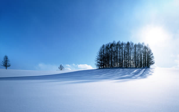 蓝天白云雪地树林免抠