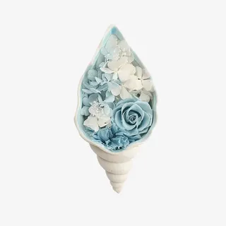 海螺陶瓷礼盒免抠