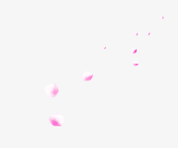 粉红花瓣散落漂浮装饰免抠