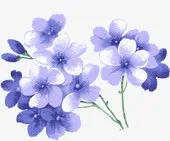 蓝色唯美手绘花朵节日免抠