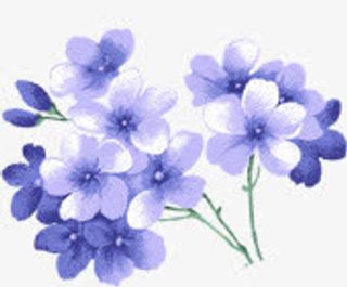 蓝色唯美手绘花朵节日免抠