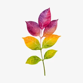 彩色叶子免抠