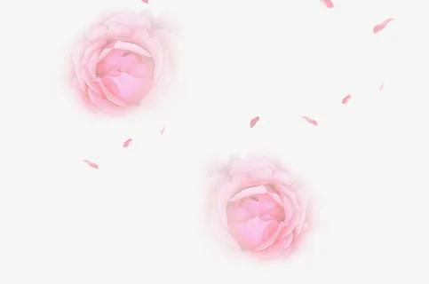 漂浮元素花5免抠