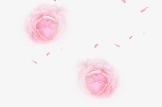 漂浮元素花5免抠