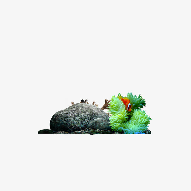 珊瑚 石头免抠