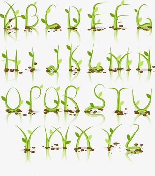 水晶嫩芽字母免抠