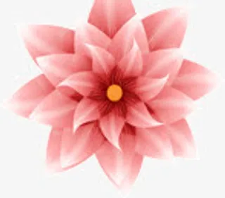 粉色盛开的花免抠