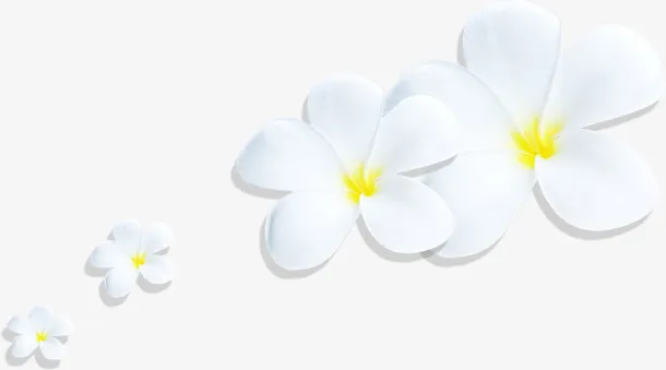 白色花瓣花朵七夕免抠