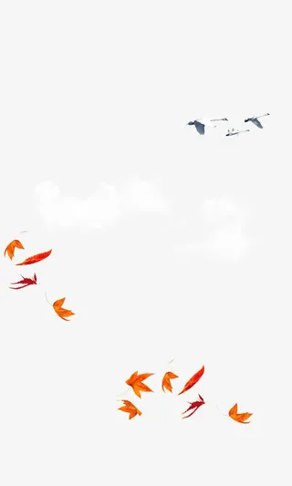 红色简约飞鸟枫叶装饰图案免抠