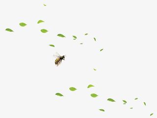 绿色树叶漂浮素材免抠