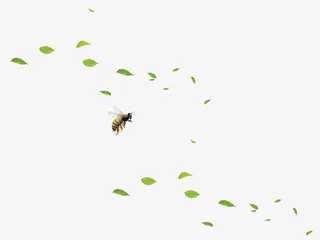 绿色树叶漂浮素材免抠