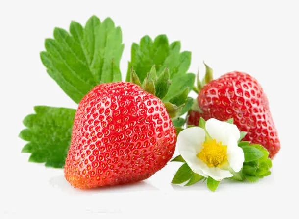 清新夏季新鲜草莓免抠