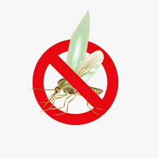 矢量消灭蚊虫图标免抠