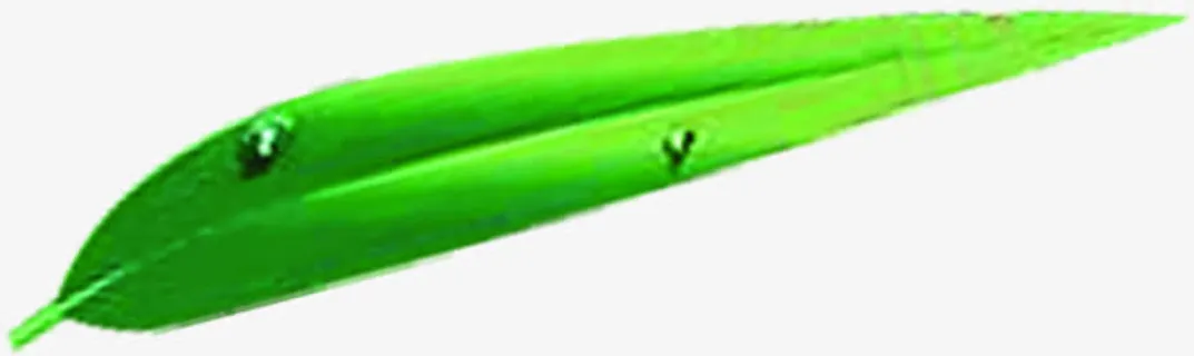 绿色清爽清新竹叶免抠