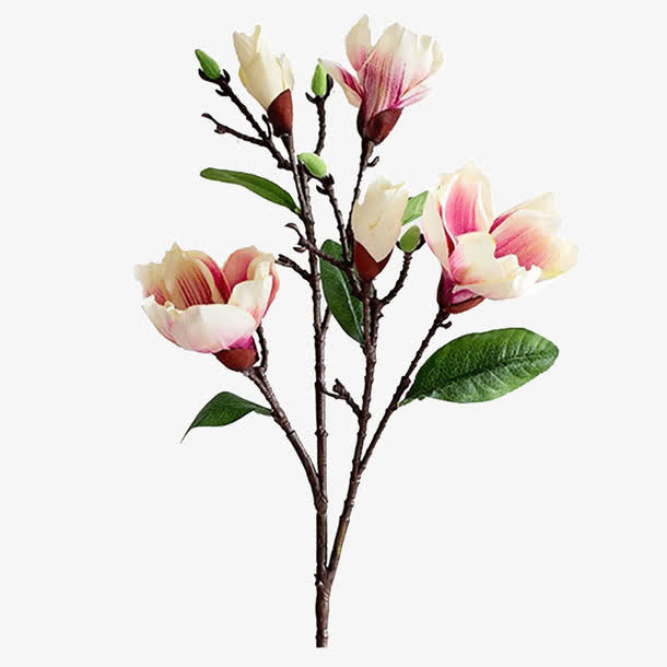 玉兰花仿真花免抠