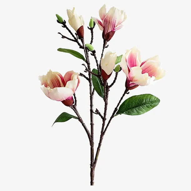 玉兰花仿真花免抠