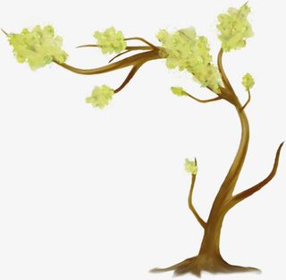 春天树叶发芽免抠