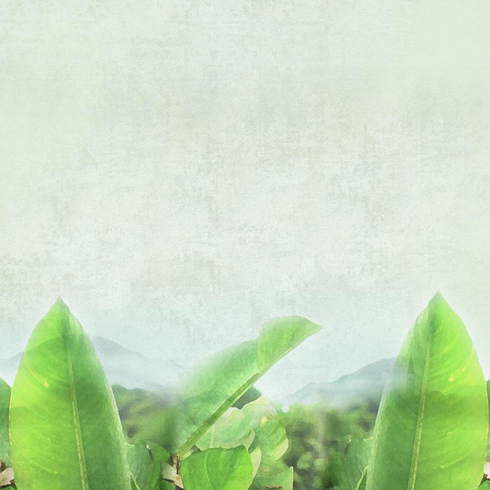 质感绿叶纹理背景高清