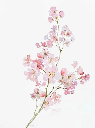 唯美中国古风插画免抠