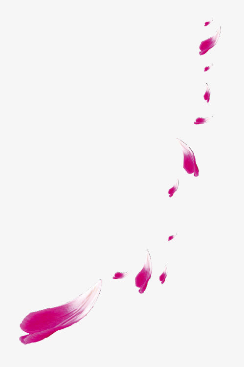 花瓣粉红花瓣漂浮飘落免抠