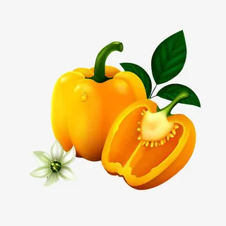 黄椒兰花矢量图免抠