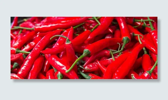 辣椒背景高清