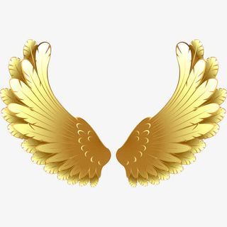 金色翅膀素材下载免抠