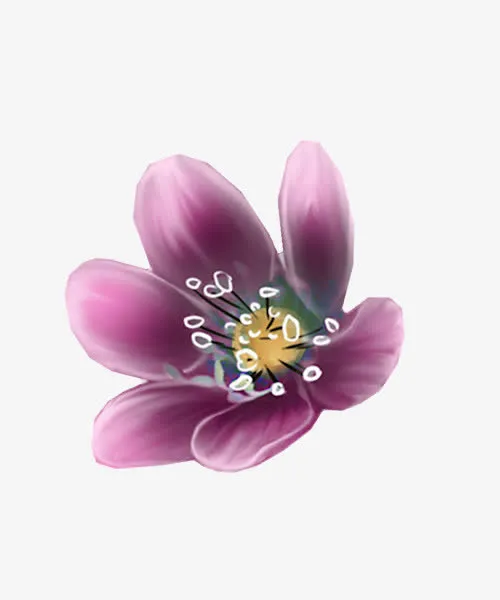 紫色玉兰花免抠