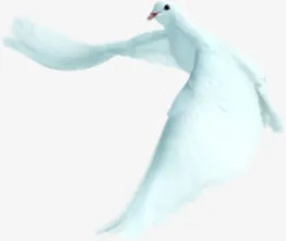 白鸽飞舞展翅节日免抠