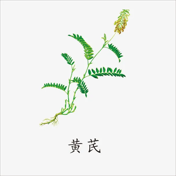 黄芪免抠