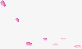 漂浮花瓣免抠